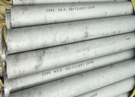 ASTM Seamless Heat Exchanger Tubes , Hot Rolled 310s Stainless Steel Pipe