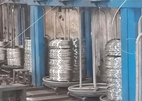 Un buon prezzo. Calore che resiste alla bobina laminata a caldo del cavo di acciaio inossidabile di 5mm in linea