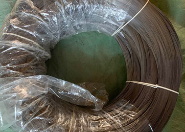 Un buon prezzo. L'iso/BV ha galvanizzato la bobina del cavo della primavera del rivestimento ad alto tenore di carbonio per il recinto del parco in linea