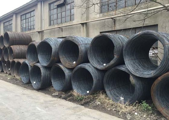 Un buon prezzo. 0.30mm 45# 50# 65# 1200kgs hanno galvanizzato il filo di acciaio in linea